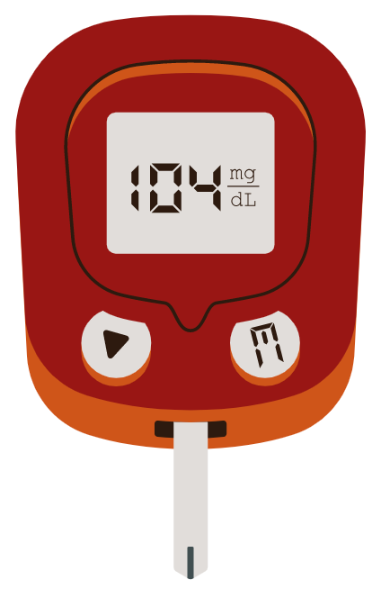 Blood glucose meter